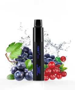 Blueberry Berries Blackcurrant - IGET Legend 4000 Puffs