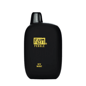 Icy mint Vape - Flum Pebble Disposable Vape