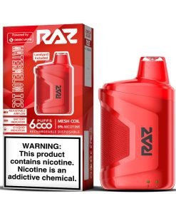 RAZ Watermelon Ice Vape - CA6000 Vape (6000 Puffs)