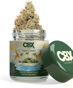 Tropicanna Strain - 3.5g