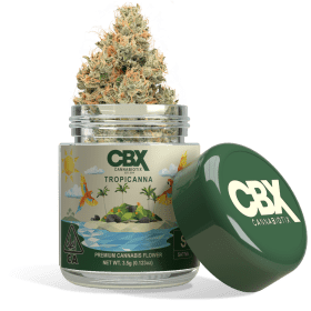 Tropicanna Strain - 3.5g 5 Tropicanna Strain - 3.5g