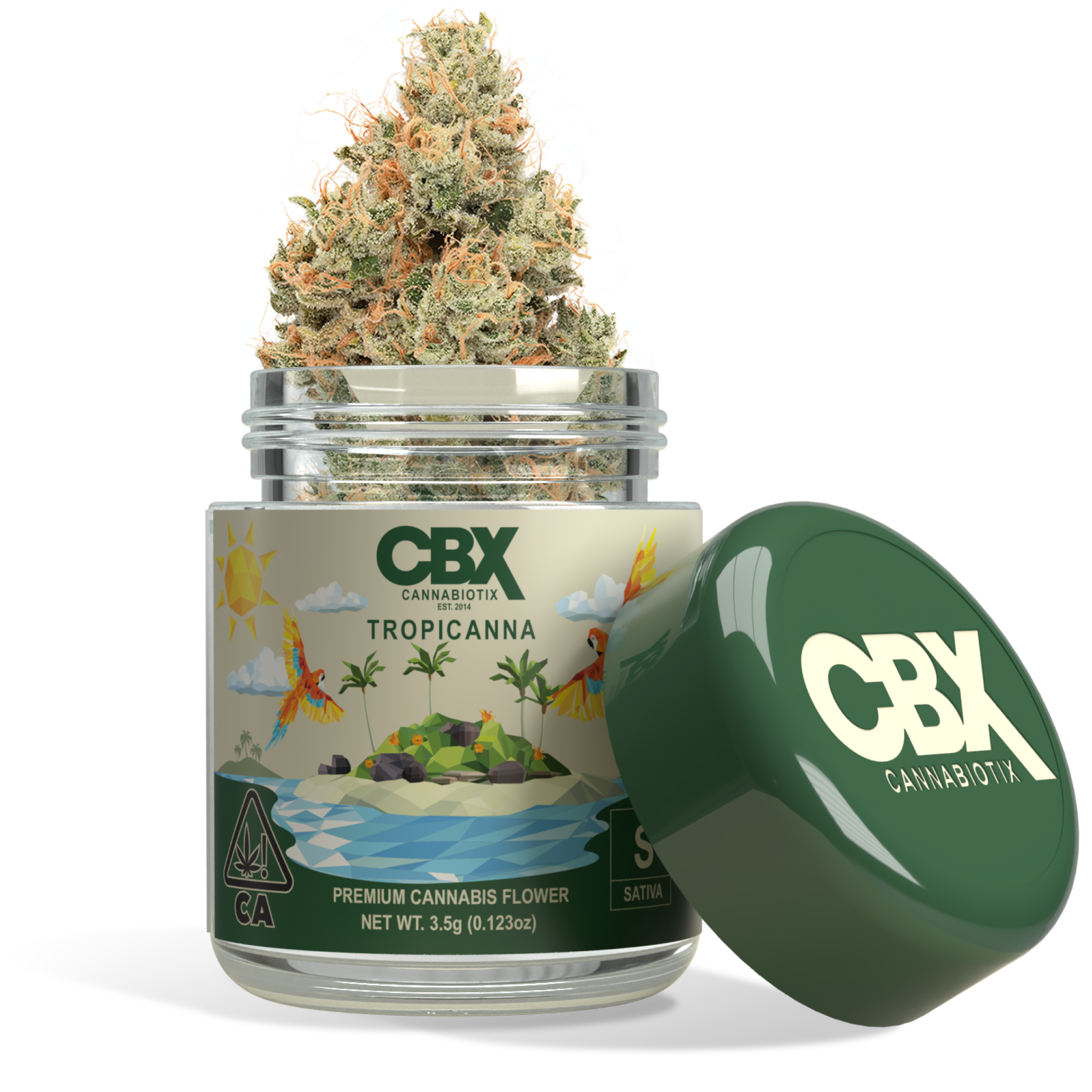 262f2772-1881-47e1-b94f-a7256a4675e9 Tropicanna Strain - 3.5g
