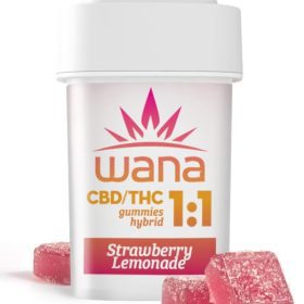 1:1 Strawberry Lemonade Gummies - [10pk] (100mg CBD/100mg THC)