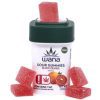 20:1 Blood Orange Gummies - [10pk] (100mg CBD/THC)