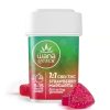 Wana 1:1 Strawberry Margarita Gummies – [20pk] (100mg CBD/100mg THC)