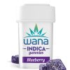 Wana Blueberry Gummies - THC 100mg [20ct]