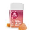Wana Quick Peach Bellini Gummies – 100mg THC [20ct]